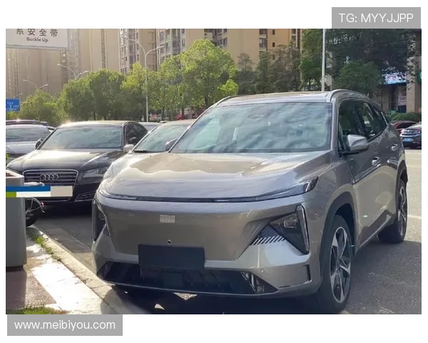 吉利银河官网：一站式获取吉利银河汽车详细参数与配置介绍