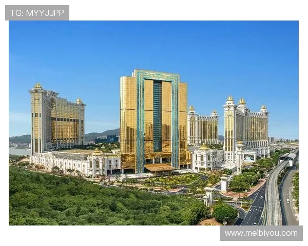 澳门银河赌场娱乐项目全攻略,带你领略多样化的博彩娱乐与精彩表演盛宴